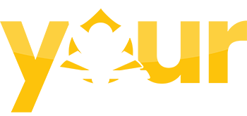 Your Study Buddy